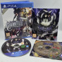 Anima: Gate of Memories PS4  | Jeux Ps4 | retrogaming